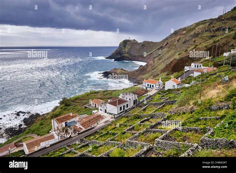 Terraced vineyards at the coastal town of Maia. Santa Maria, Azores islands, Portugal Stock ...