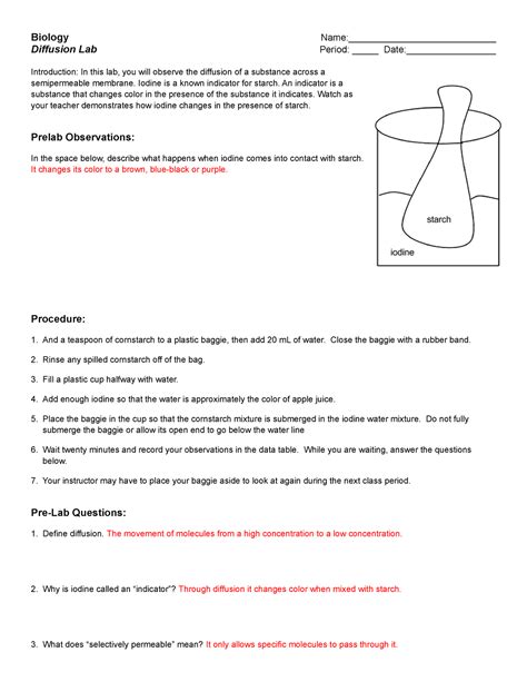 Diffusion Lab (1) - None - Biology Name ...