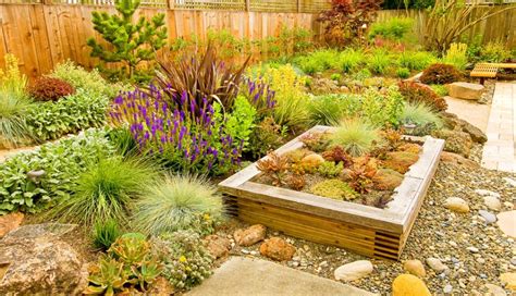 A Guide to Easy Drought-Tolerant Landscaping in California