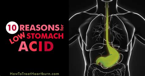 10 Reasons for Low Stomach Acid