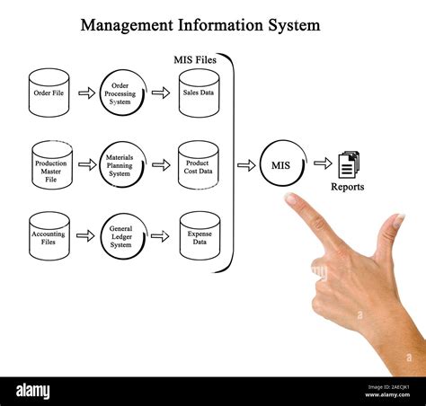 Diagram of Management Information System Stock Photo - Alamy