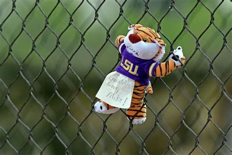 LSU's Mike the Tiger dies after cancer battle - Houston Chronicle