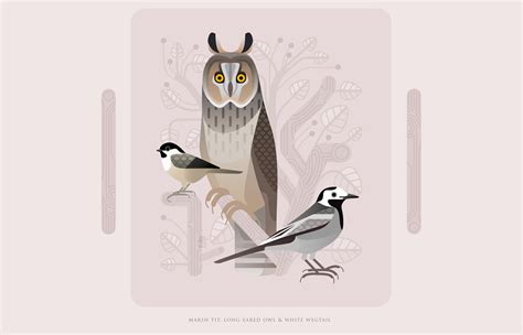 Birds of Europe on Behance