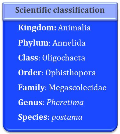 Earthworm: General characters, External morphology, Setae | Study&Score