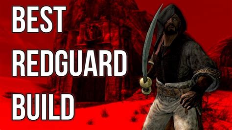 The Mercenary - Best Redguard Build - Skyrim Builds - YouTube