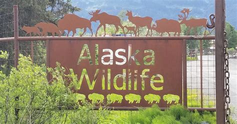 Welcome to Luxury Travel Docs!: Review of the Alaska Animal Wildlife Conservation Center in ...