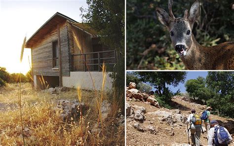 Ajloun Forest Reserve | جولات في الأردن- للرحلات والجولات المخصصة