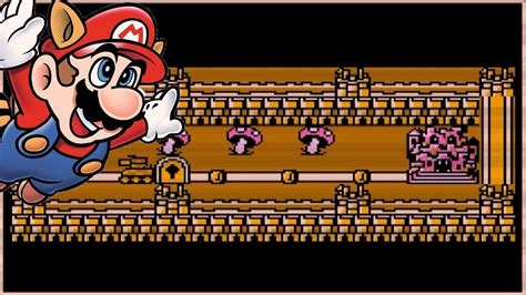 How to beat super mario bros 3 world 8 fortress - pojinfo