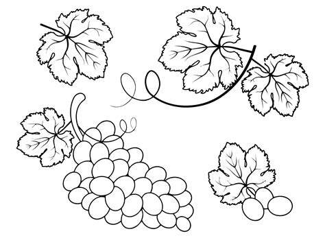 Grapes to Print Coloring Page - Free Printable Coloring Pages