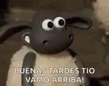 Shaun The Sheep Thumbs Up GIF - Shaun The Sheep Thumbs Up Good Job - Discover & Share GIFs