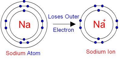 Why does the Na+ ion have a smaller radius than the Na atom? - ECHEMI