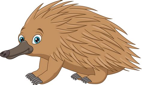 Cartoon echidna isolated on white background 5112588 Vector Art at Vecteezy