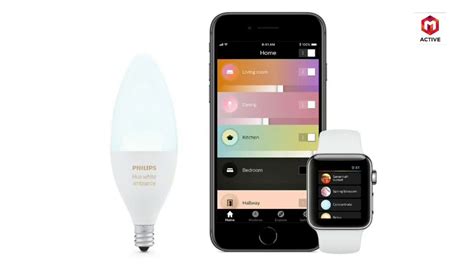 Philips Hue White Ambiance Wireless LED Flood Light BR3 | Hue philips, Led flood lights, Led flood