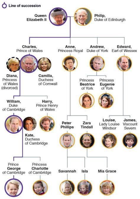 Royal Family tree and line of succession | Royal family trees, Victoria family tree, Queen ...