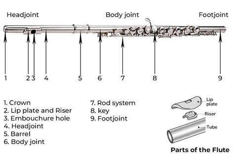 The Parts Of a Flute - Flute Anatomy - Phamox Music