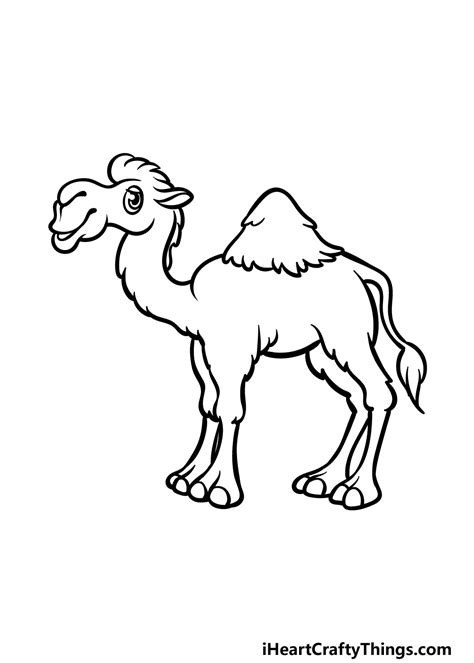 Camel Cartoon Drawing