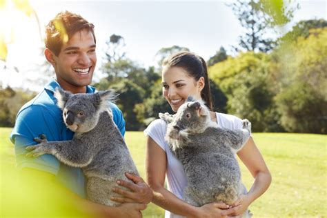 Novotel Brisbane South Bank - Lone Pine Koala Sanctuary