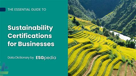 Guide to Sustainability Certifications for businesses – ESG Data ...