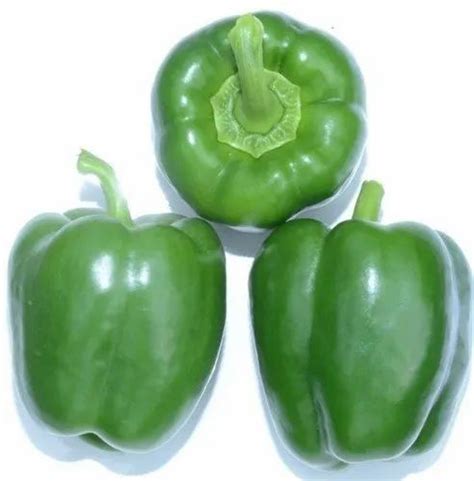 Hybrid Green Enza Zaden Almirante Capsicum Seeds, For Agriculture, Packaging Type: Packet | ID ...