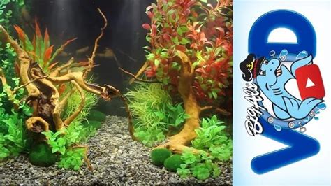 How to Make Fake Aquarium Plants: A Step-by-Step Guide for Stunning ...