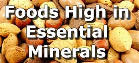 The Top 15 Foods Highest in Minerals