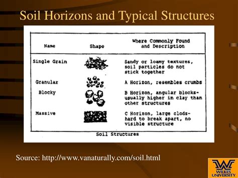 PPT - Soil Profile and Soil Horizons PowerPoint Presentation, free download - ID:377228