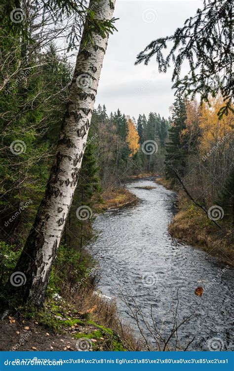 Aerial Shot of the Amata River during Cloudy and Gloomy Autumn Day in Latvia Stock Photo - Image ...