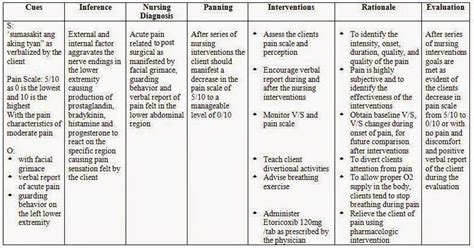 Acute Pain Nursing Care Plan - BrendenkruwStewart