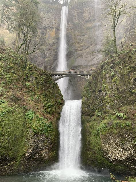 Multnomah Falls! Hike was beautiful just after the rains. : r/hiking