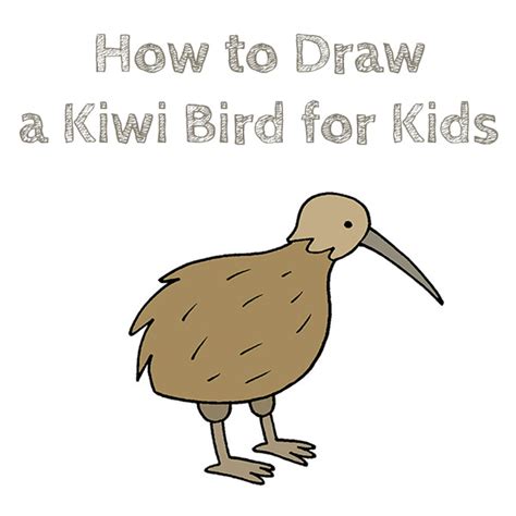 How to Draw a Kiwi Bird for Kids - How to Draw Easy