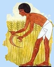 Farming Methods - Egypt Explained