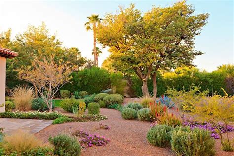 Dazzling Desert Landscaping method agave backyard desert ground cover ...