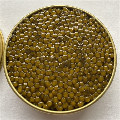 Buy Almas Diamond Caviar Online - King's Fine Food London UK