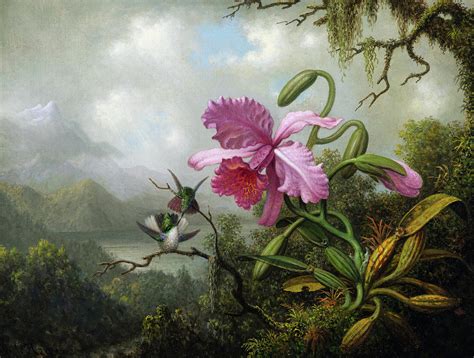 Orchid and Hummingbirds near a Mountain Lake, 1890 Painting by Martin Johnson Heade - Pixels