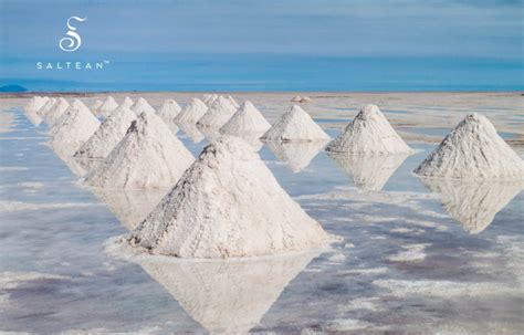 Salt Production – How Is Salt Produced? - Saltean