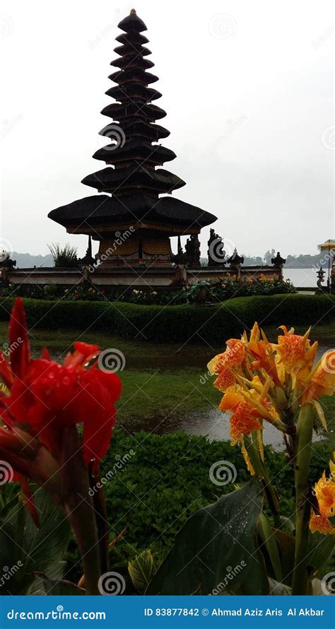 Temple at Bali stock photo. Image of water, flowerlovers - 83877842