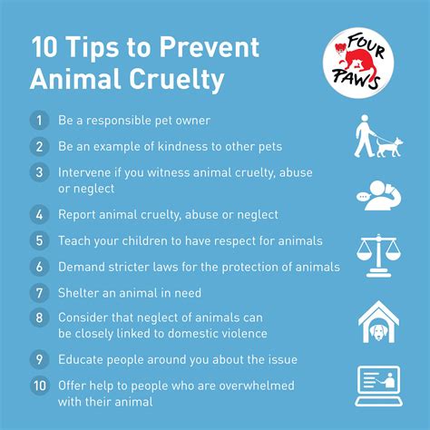 Ways to prevent cruelty to animals - FOUR PAWS in US - Global Animal ...