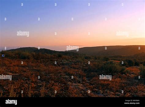 Ppm habitat hi-res stock photography and images - Alamy