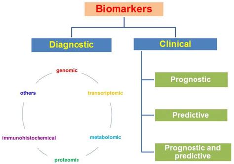 Cervical Carcinoma: Oncobiology and Biomarkers