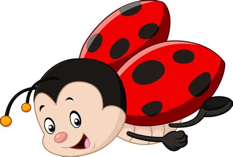 Ladybug Cartoon Images – Browse 610 Stock Photos, Vectors, and Video | Adobe Stock