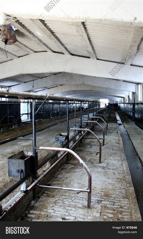 Inside Dairy Barn Image & Photo | Bigstock