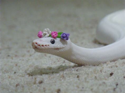 i-m-snek: “ Leliana is here to spread peace and love :D ” | Fotos de animales tiernos, Videos ...