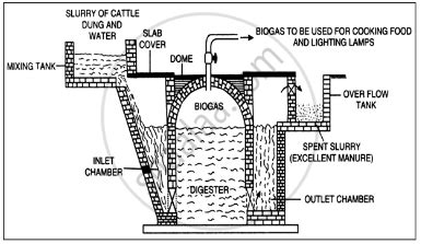 Describe a fixed dome type biogas plant with the help of a labelled diagram. - Physics | Shaalaa.com