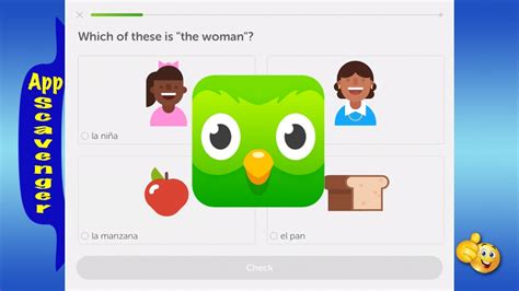 How Many Sections Duolingo Spanish