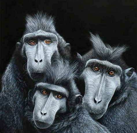 3 Monkeys – Vinnie Art World