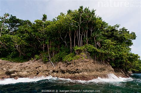 Stock photo of Tetepare Island (largest uninhabitated island in the ...