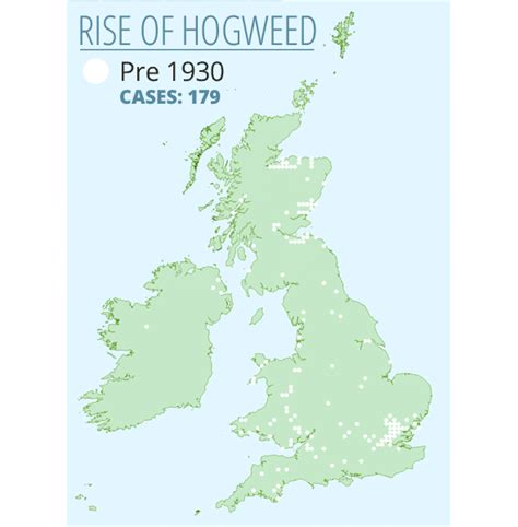 Giant Hogweed Map | Bruin Blog