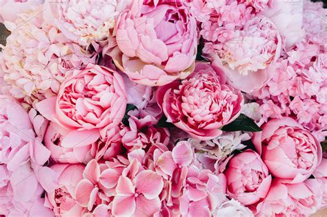 Pink peonies background | Nature Stock Photos ~ Creative Market