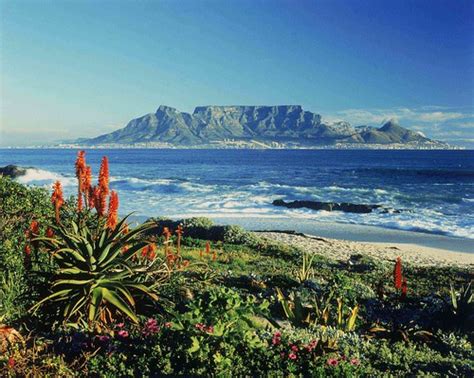 Table Mountain - South Africa | Table Mountain in South Afri… | Flickr