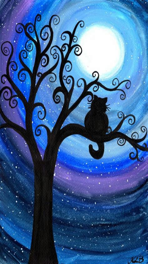 720P free download | Cat at night, at night, HD phone wallpaper | Peakpx